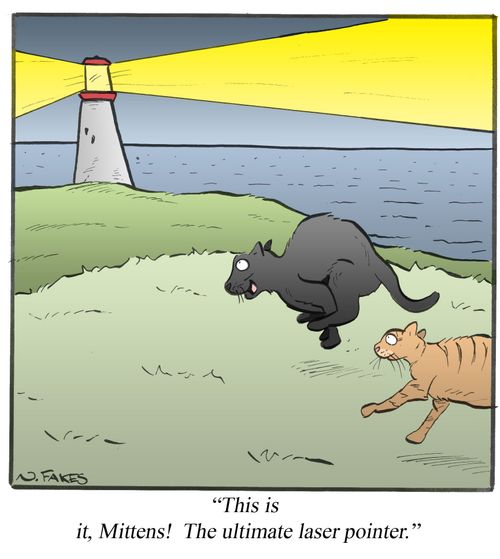 "This is it, Mittens! The ultimate laser pointer!"