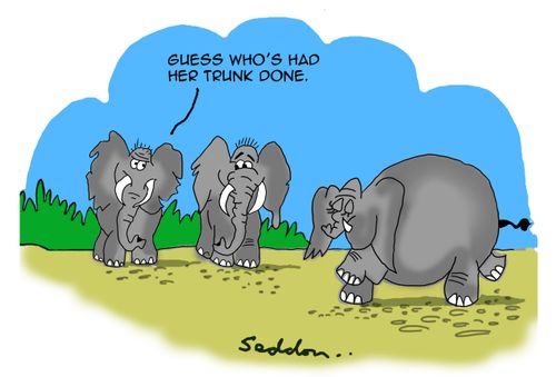 "Guess who's had her trunk done."
