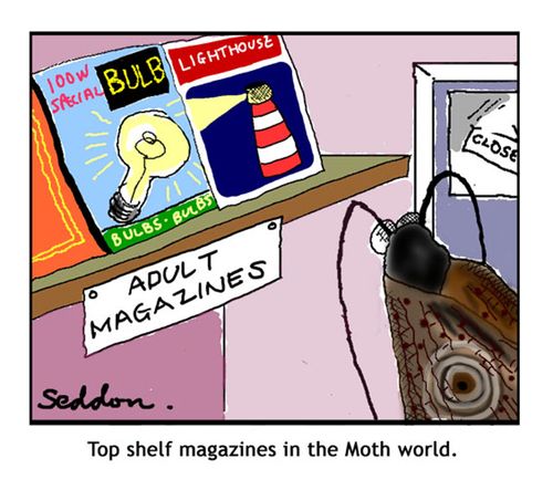 Top shelf magazines in the moth world