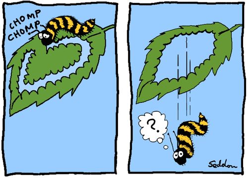 Unlucky caterpillar