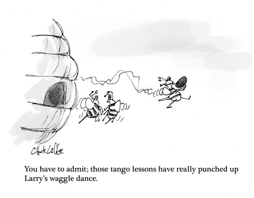 "You have to admit; those tango lessons have really punched up Larry's waggle dance."