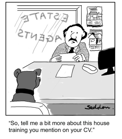 "So, tell me a little bit more about this house training you mention on your CV."