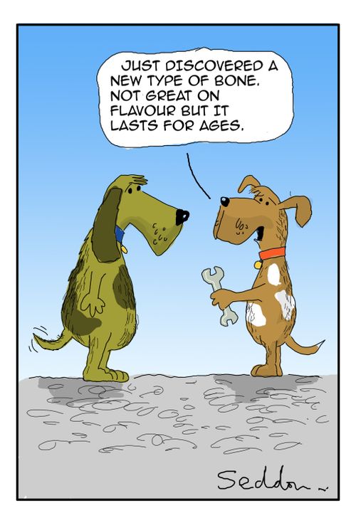 "Just discovered a new type of bone. Not great on flavour but it lasts for ages."