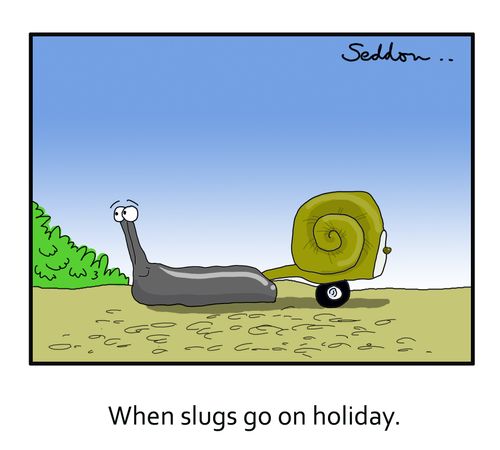 When slugs go on holiday.