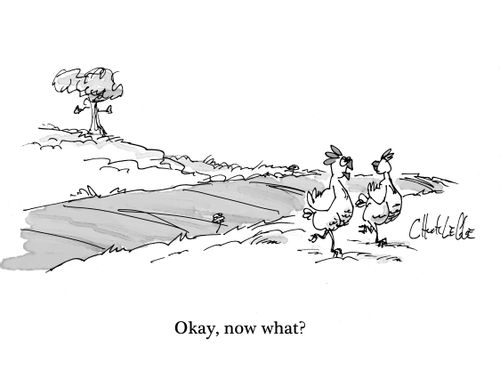 "Okay, now what?"