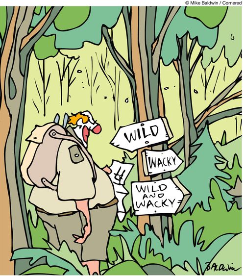 Wild, Wacky, Wild and Wacky