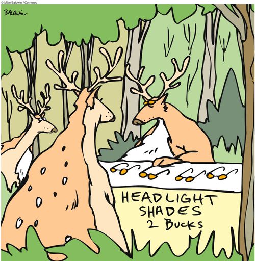 Deer selling Headlight shades