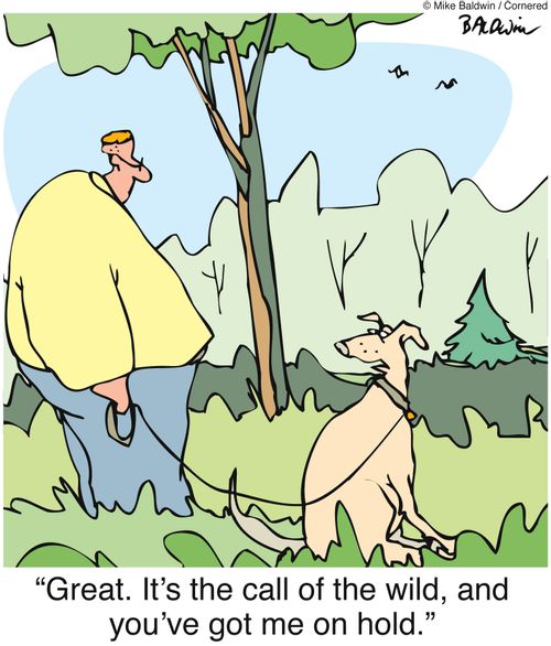 "Great. It's the call of the wild, and you've got me on hold."