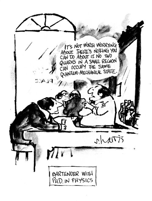 'It's not worth worrying about.  There's nothing you can do about it.  No two quarks in a small region can occupy the same quantum-mechanical state.'