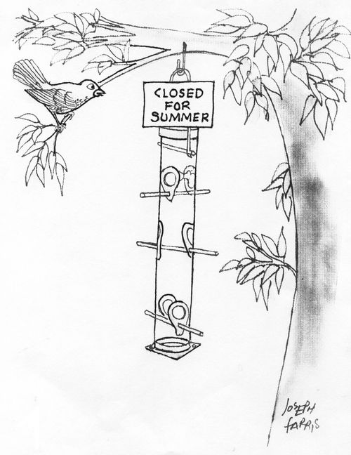 Closed for Summer.