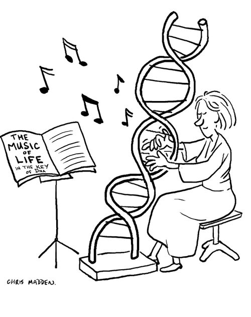 The Music of Life (in the key of dna).