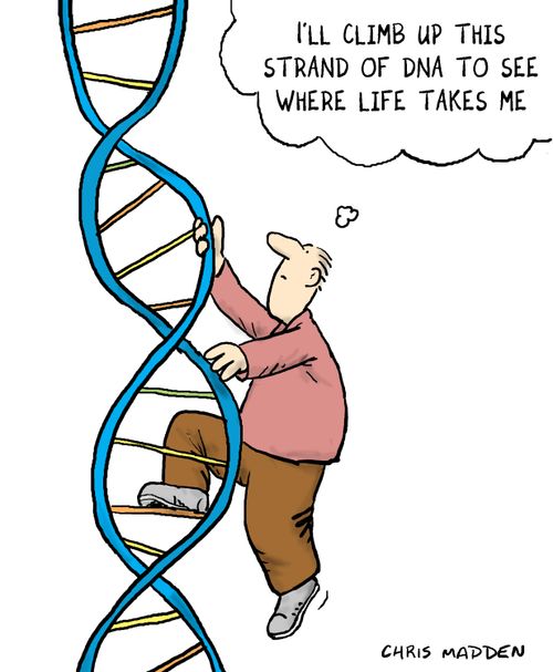 Man climbing a dna 'ladder'.