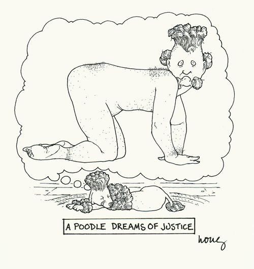 A Poodle Dreams Of Justice