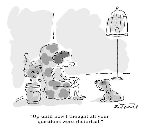 'Up until now I thought all your questions were rhetorical.'