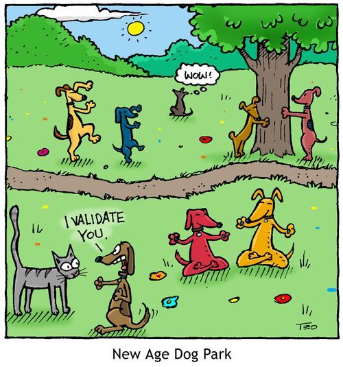 'New Age Dog Park' Dogs commune with Nature.