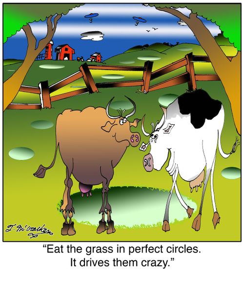 Eat the grass in perfect circles. It drives them crazy.