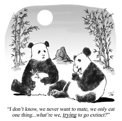 "I don't know, we never want to mate, we only eat one thing...what're we, trying to go extinct?"