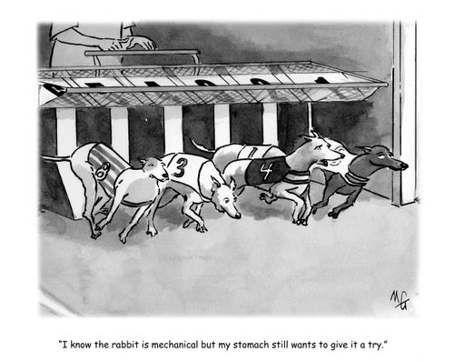 'I know the rabbit is mechanical but my stomach still wants to give it a try.'