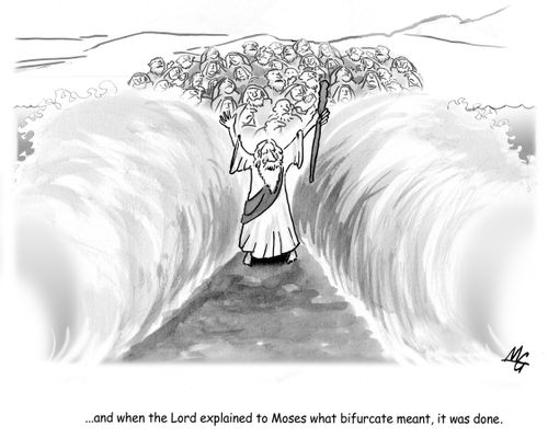 ...and when the Lord explained to Moses what bifurcate meant, it was done.