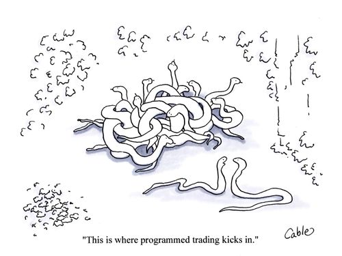 'This is where programmed trading kicks in.'