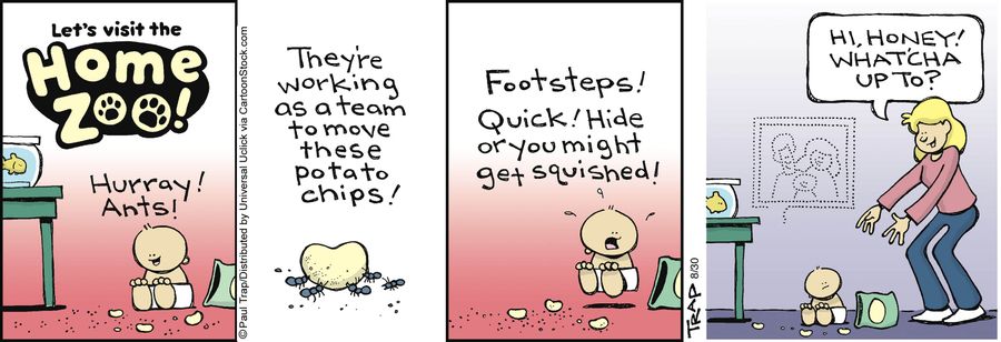 'Hurray! Ants!'