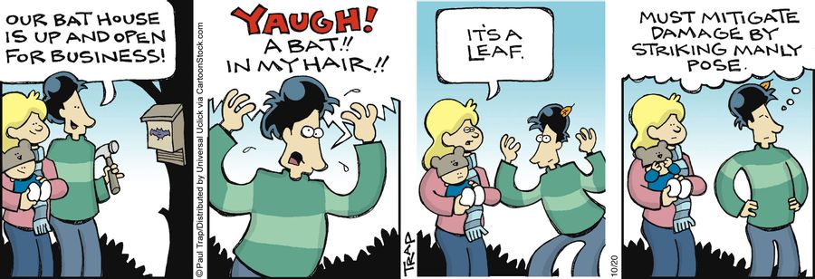 'It's a leaf.'