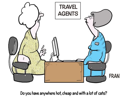"Do you have anywhere hot, cheap and with a lot of cats?"