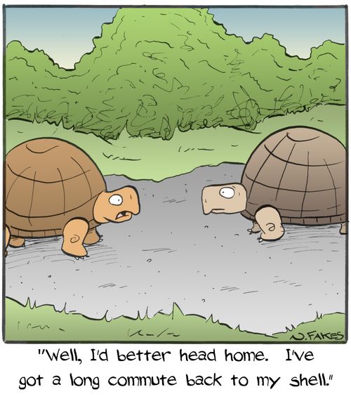 "Well, I'd better head home. I've got a long commute back to my shell."