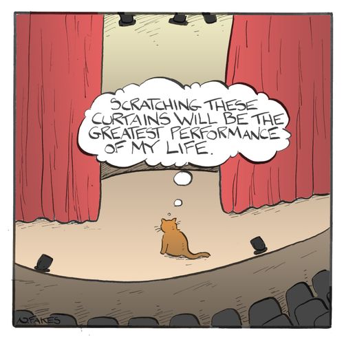 'Scratching these curtains will be the greatest performance of my life.'