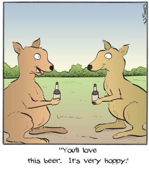 "You'll love this beer. It's very hoppy."