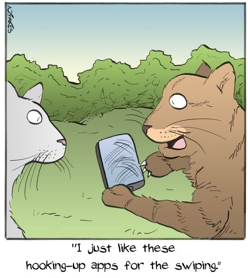 "I just like these hooking-up apps for the swiping."
