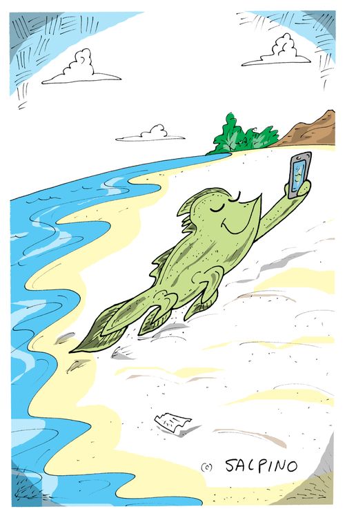 A fish takes a selfie on land.