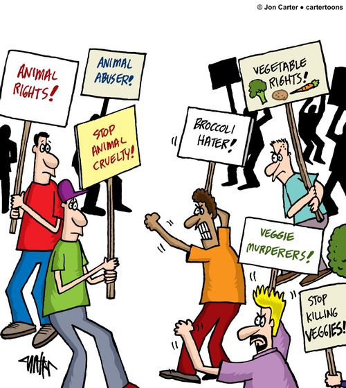 Animal rights and vegetable rights protesters battle each other.