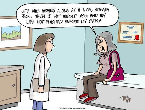 'Life was moving along at a nice, steady pace, then I hit middle age and my life hot-flashed before my eyes!'