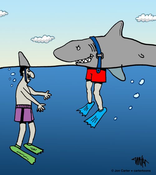 Man with fake shark fin hat encounters shark with fake human legs.