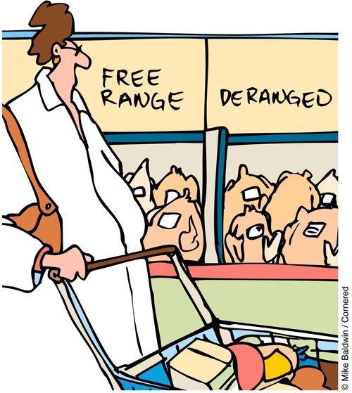 Free Range / Deranged