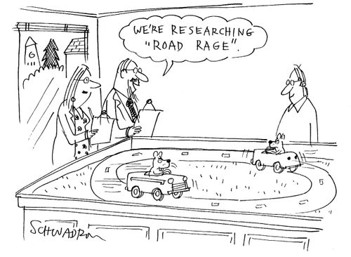 'We're researching 'road rage'.'