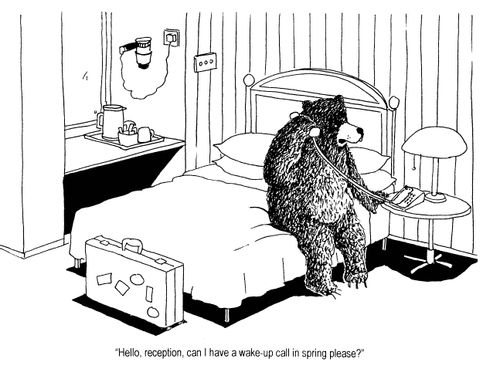 'Hello, reception, can I have a wake-up call in spring please?'