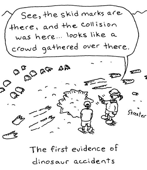 The first evidence of dinosaur accidents.