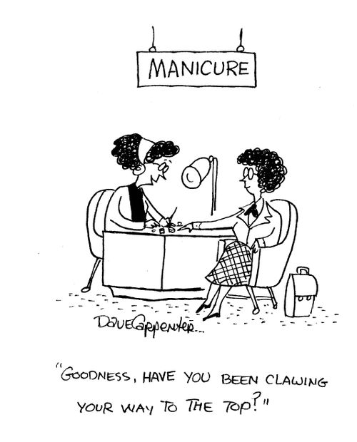 'Goodness, have you been clawing your way to the top?'