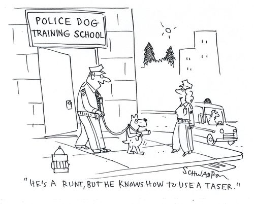 Police Dog Training School: 'He's a runt, but he knows how to use a taser.'