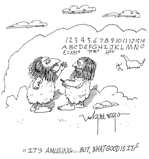 'It's amusing...but what good is it?'