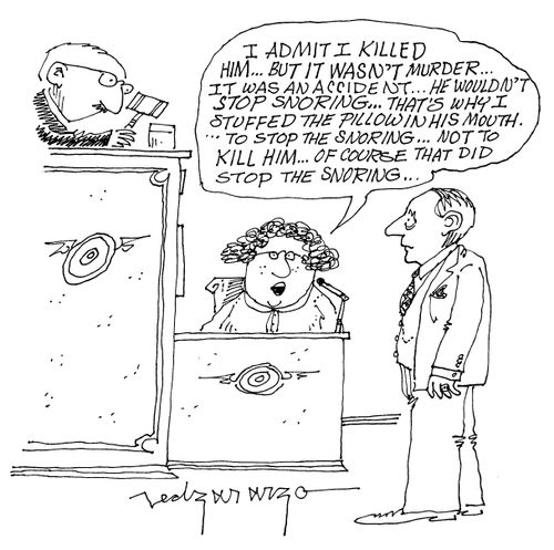 'I admit I killed him...but it wasn't murder...It was an accident...'