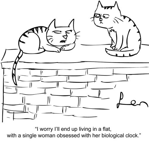 'I worry that I'll end up living in a flat, with a single woman obsessed with her biological clock.'