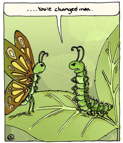 'You've changed, man'.  