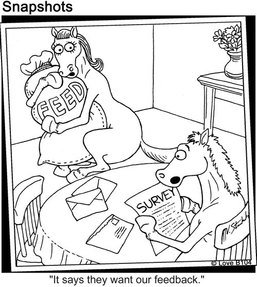Horse's Feedback.