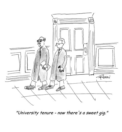 'University tenure, now there's a sweet gig.'