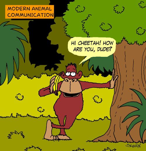 Modern animal communication