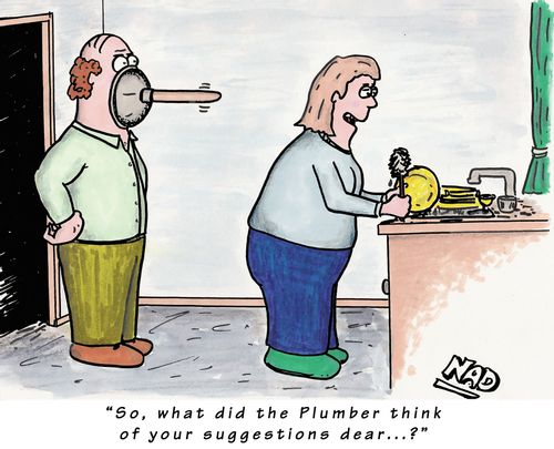'So what did the Plumber think of your suggestions dear...?'