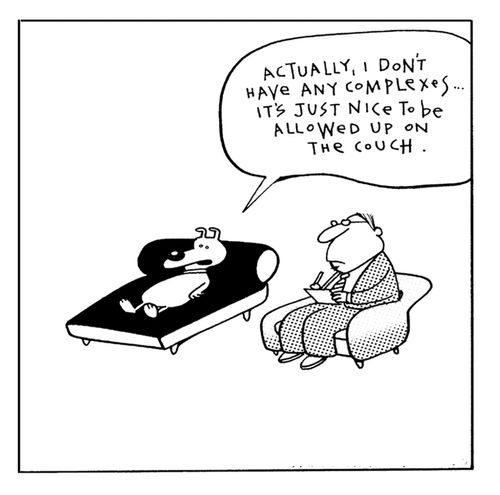 Dog at psychiatrist.